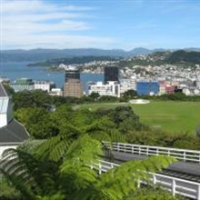 Our trip to Wellington by Brian Mudgeway